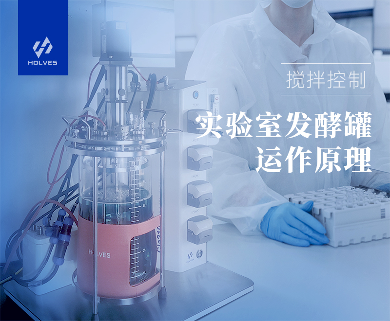 實驗室發酵罐運作原理之攪拌控制