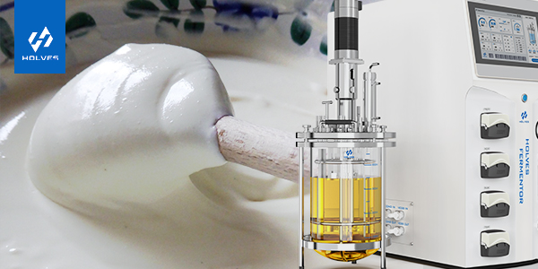 發酵罐在乳制品生產中的重要意義