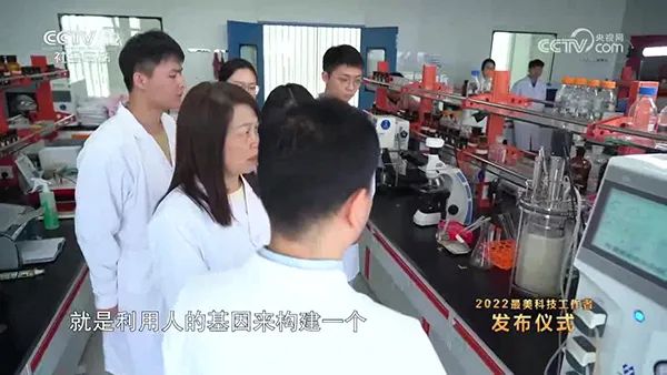 實驗室發酵罐 實驗室發酵罐