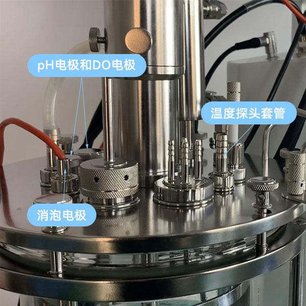 發酵罐傳感器 發酵罐傳感器