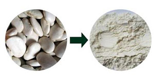 陶瓷膜過濾在蕓豆提取物中的運用