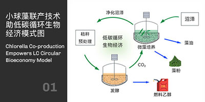 小球藻聯產技術助力碳循環經濟模式圖